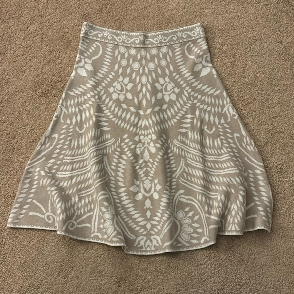 Express skirt